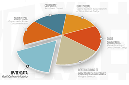Département IP-IT-Data