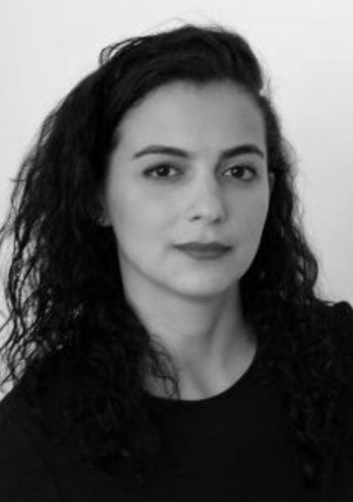 Lamiaa Iraqui Houssaini